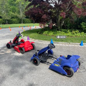 Go kart rentals