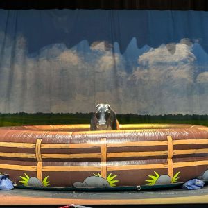 Mechanical bull rig with a cloud-sky backdrop